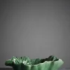 Cabbage Saladeira – Medium