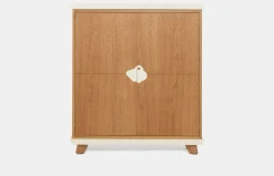 Cabinet 160