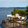 Djurö Dining Armchair - Teak/White