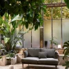 Fly Sofa