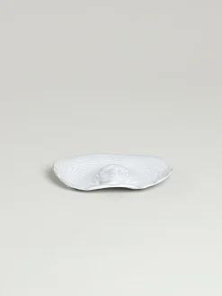 Ivan Dish