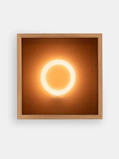 Lightpulse