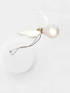 Lucellino Nt Wall Lamp