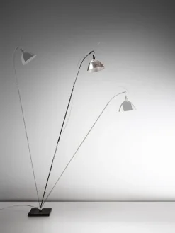 Max Floor Lamp