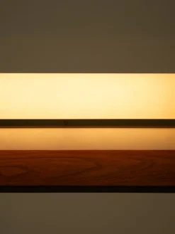 Modernist Linear Suspension Lamp