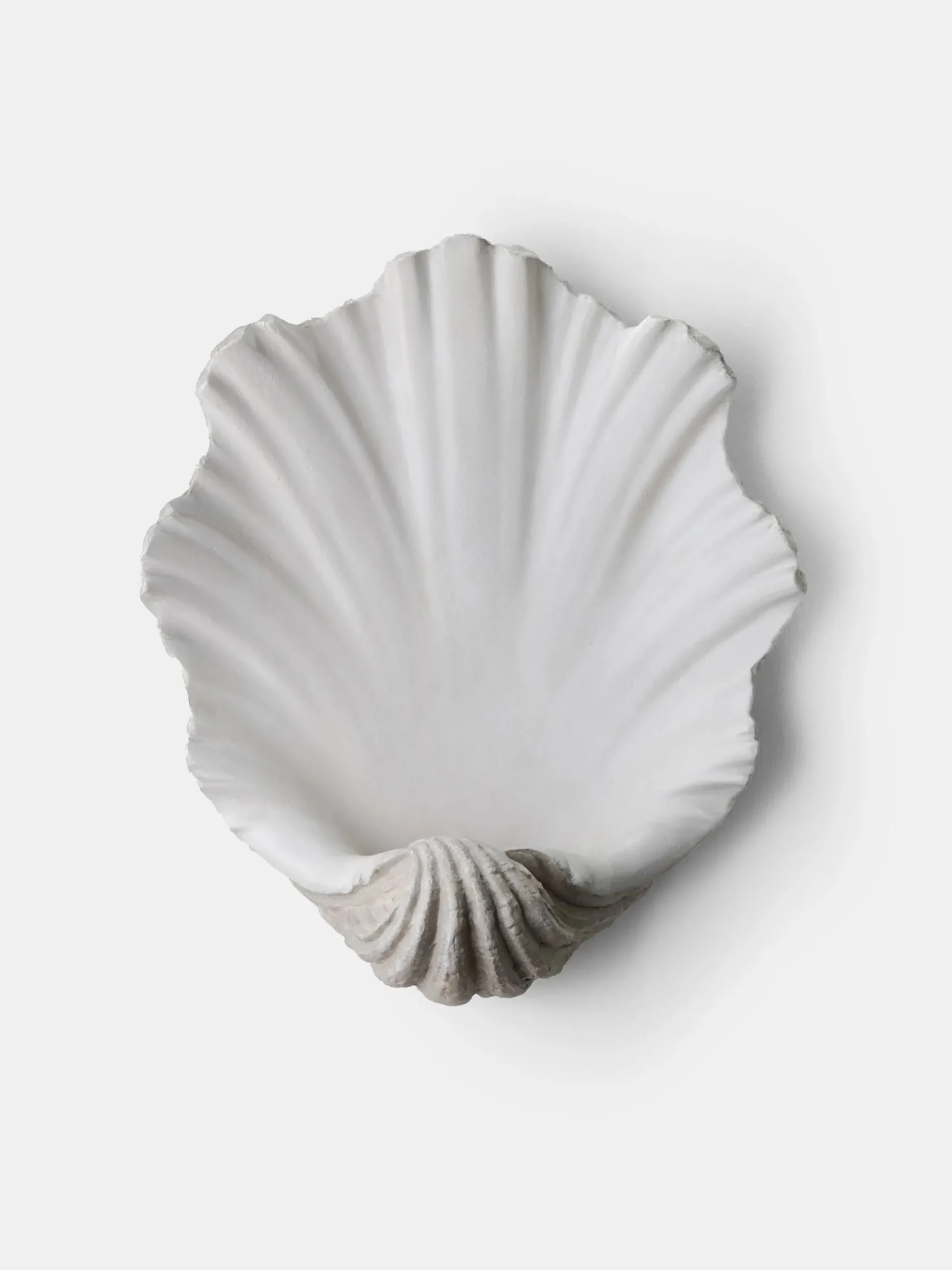Scallop Shell Wall Light