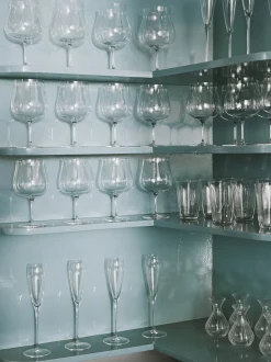 Silhouette Champagne Flute