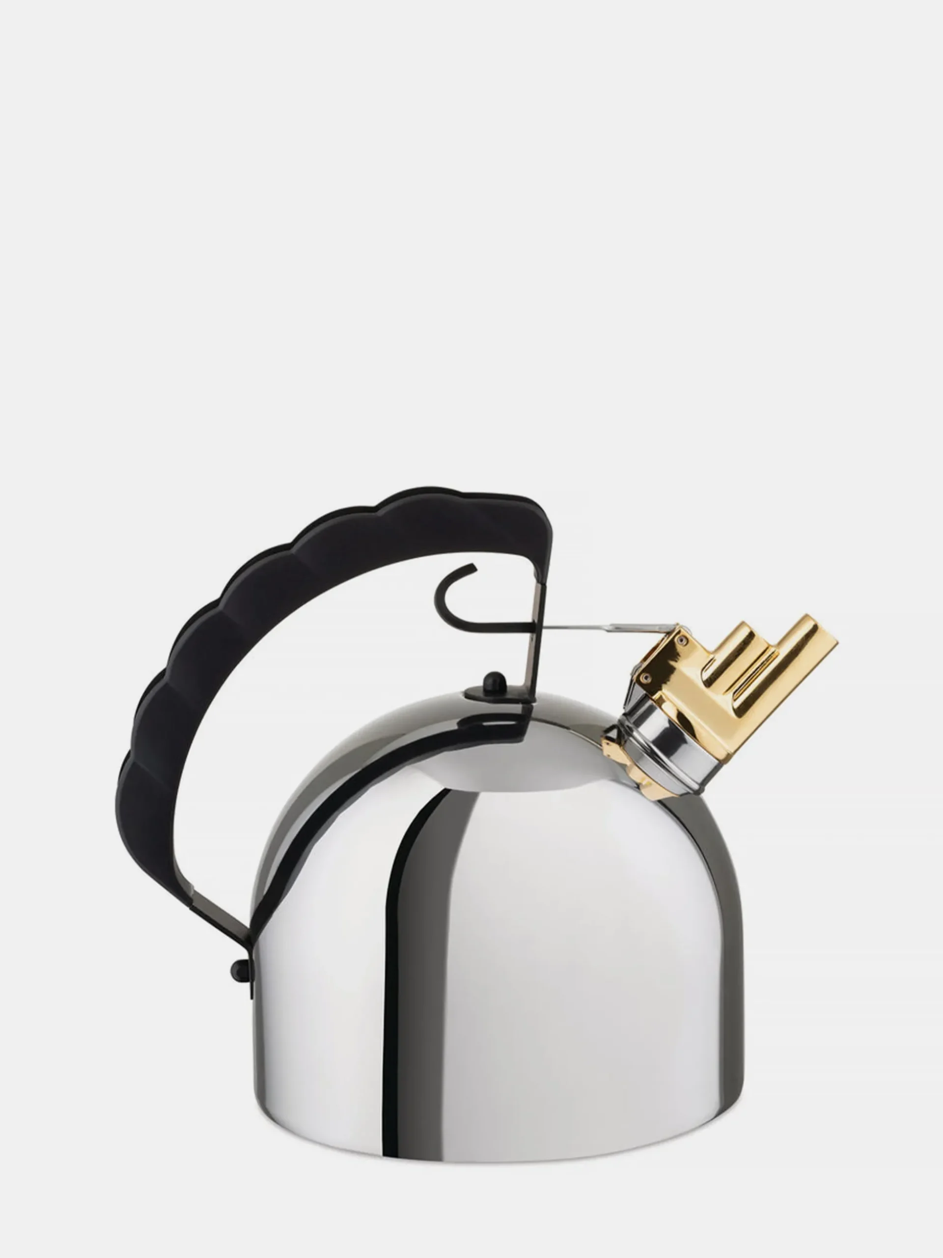 Water Kettle with Whistle